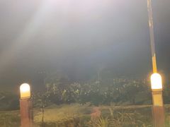 -渔家火锅·海鲜自助餐·演艺(亚龙湾天域酒店)
