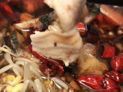 -光友小四川水煮鱼(鸭绿江街店)