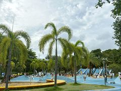 -宝安西湾红树林湿地公园