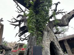 -康百万庄园
