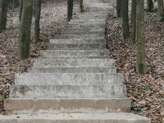 -广州市帽峰山景区