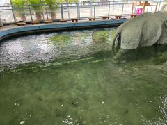 -光头佬钓虾场·烧烤·聚餐·亲子(金沙洲店)