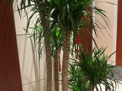 -浙江西子宾馆·牡丹厅