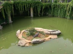 -南昌动物园