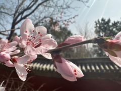 -颐和园