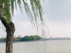 -无锡蠡湖国家湿地公园-蠡园