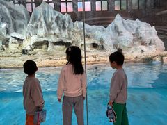 -帝企鹅自助餐厅•儿童岛•真企鹅(长隆企鹅酒店)