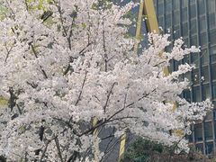 -钱江新城