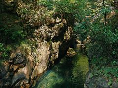 -大奇山国家森林公园