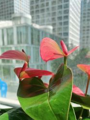 -变画·发型STUDIO