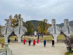 -千年银杏谷文化旅游区