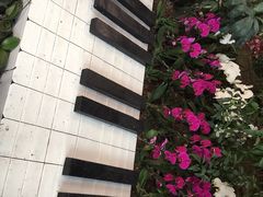 兰花展3/9-沈阳植物园