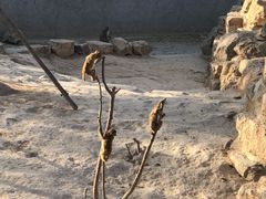 -太原动物园
