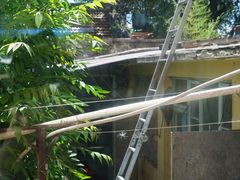 -北京龙庆四季香农家饭庄·灶台鱼·碳烤虹鳟鱼(龙庆峡店)