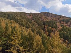 -苏木山森林公园