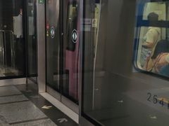 -大望路(地铁站)