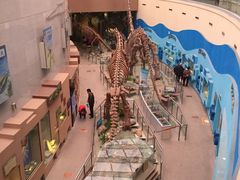 -陕西自然博物馆