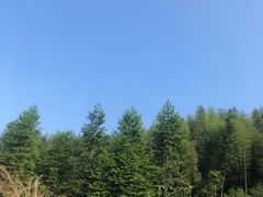 -食膳公园包子铺(烈士公园店)