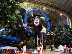 -杭州开元森泊度假乐园