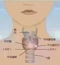 -雅曼妮spa美容养生