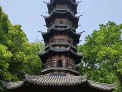 -上海佘山国家森林公园西佘山园