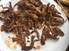 -都江堰石锅鱼