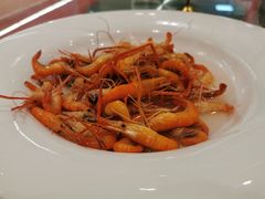 -东平国家森林公园