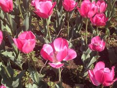 -长春公园(普阳街道)