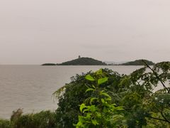 -上海市保健医疗中心