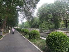 -元大都城垣遗址公园