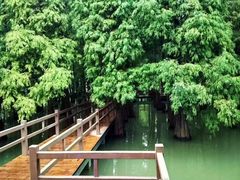 -星湖旅游景区七星岩