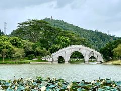 -顺峰山公园