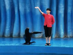 -华夏文旅海洋公园