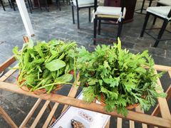 -蘑统田下·野生菌火锅