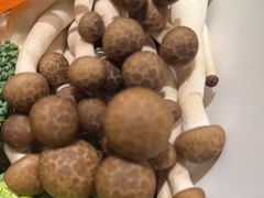 -百草滩羊清水涮羊肉(长城路店)