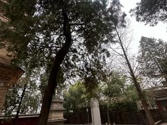 -兴教寺