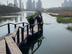 -前关湿地公园