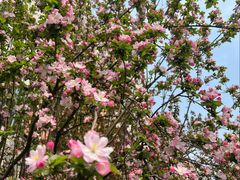 -元大都城垣遗址公园