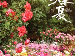 -三里河公园