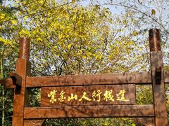-紫金山山顶公园