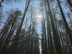 -青山湖景区