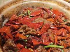 焉耆辣皮子炒吊龙-纳瓦新疆菜(银都店)