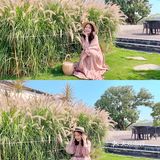 五一去哪儿｜广东周边游·惠州田园度假圣地