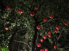 -河内西湖莲花自助餐厅