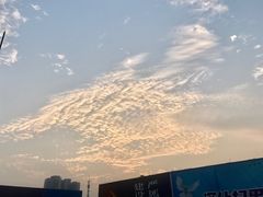-飞翔公园(地铁站)