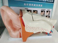 -海之声助听器(跃进南路赤坎店)