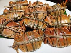 -蔼若春.传承云南菜(金碧公园店)