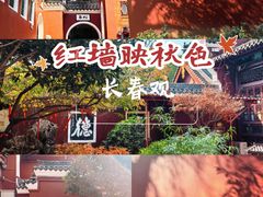 -长春观