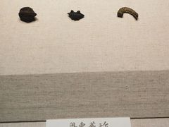 -汕头市博物馆