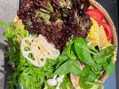 -木王宴语·野生鲜菌火锅(玉河店)